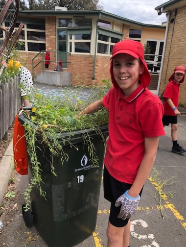 /uploaded_files/media/gallery/1544057824Bio 5.jpg